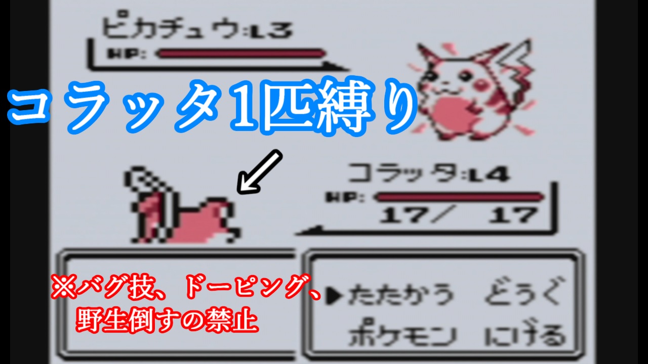 ステハゲ Sutehage 配信開始 縛りプレイ ポケモン赤緑 コラッタ1匹で全クリ目指す配信 T Co Dnfaoibvur T Co Ljmfbdwep6 Twitter