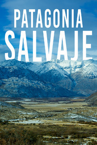 SrLandazuri's tweet image. Sábado 18
Grandes documentales y cine.
👉17:10 Patagonia Salvaje BBC Earth #DocusEn0
👉22:00 En el corazón del mar
👉23:58 El hombre que pudo reinar #ClásicosEn0