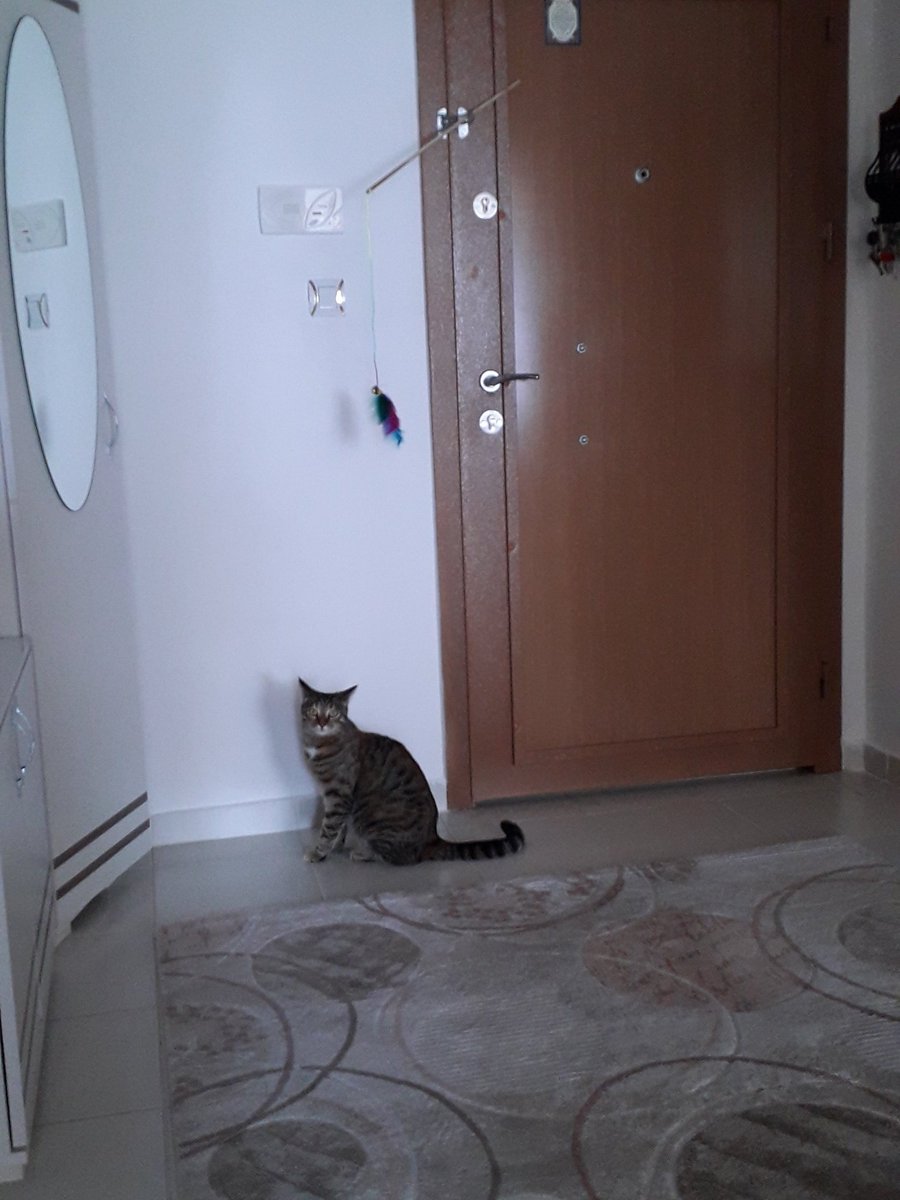 oyumçakımı özledm annim vermio:(