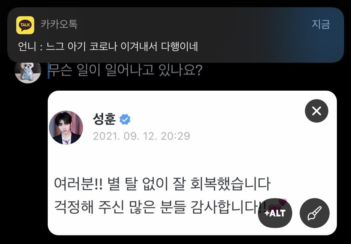 리리 tweet media