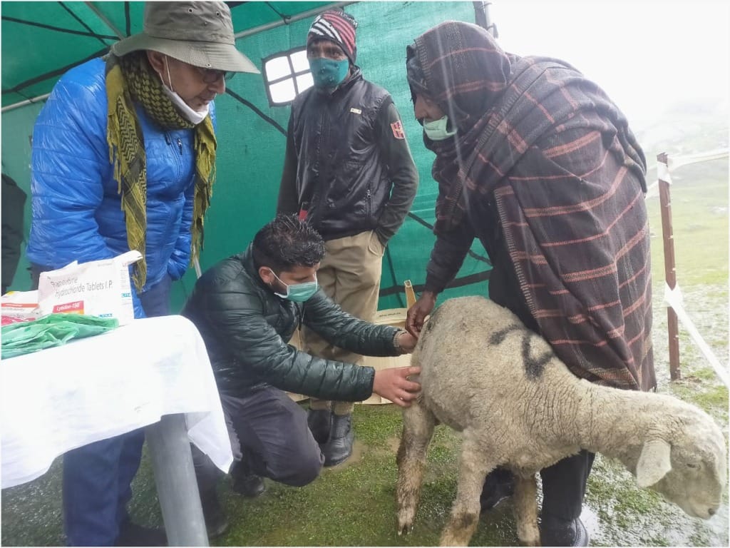 FirdousLone007's tweet photo. #IndianArmy at Samote in Dist #Rajouri org #veterinary &amp; #medical camp for #Nomad #GujjarsBakarwals at Banj (Alt 12,050 feet). #TOKYOMER #ZETAWIN #ItalianGP #青天を衝け 
#流れ弾 #USOpen #Calamidade #LFC #f1live https://t.co/4EcIh0xtr0