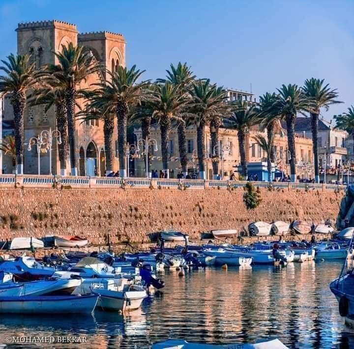 amazingAlgeriaa's tweet photo. #Taref...#ElKala....une jolie ville touristique à l'est du pays...💕🌴🌴🇩🇿🌳 https://t.co/4WTI6KReGe