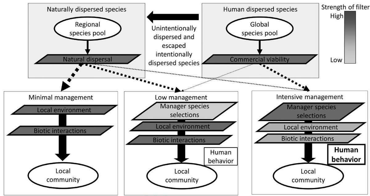 NEW FORUM PAPER: Incorporating human behaviors into theories of urban community assembly and species coexistence

doi.org/10.1111/oik.08…
<a href="/WileyEcolEvol/">Wiley Ecology & Evolution</a> <a href="/NordicOikos/">Nordic Society Oikos</a> @MeghanAvolio @GreeningScience #ecology #dispersal #management #urbanization #selection #wildlife #biodiversity