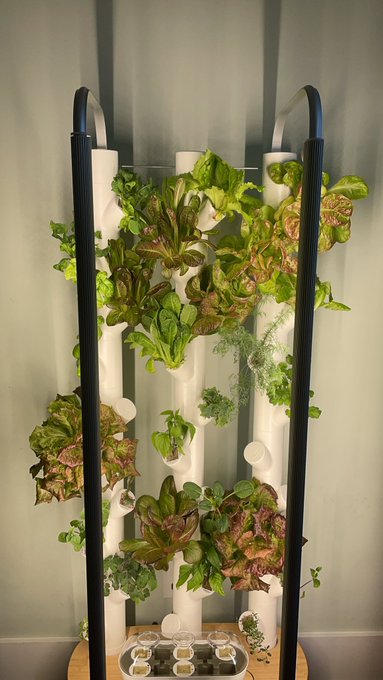 I am a farmer. https://t.co/0EnvD4Nn2M