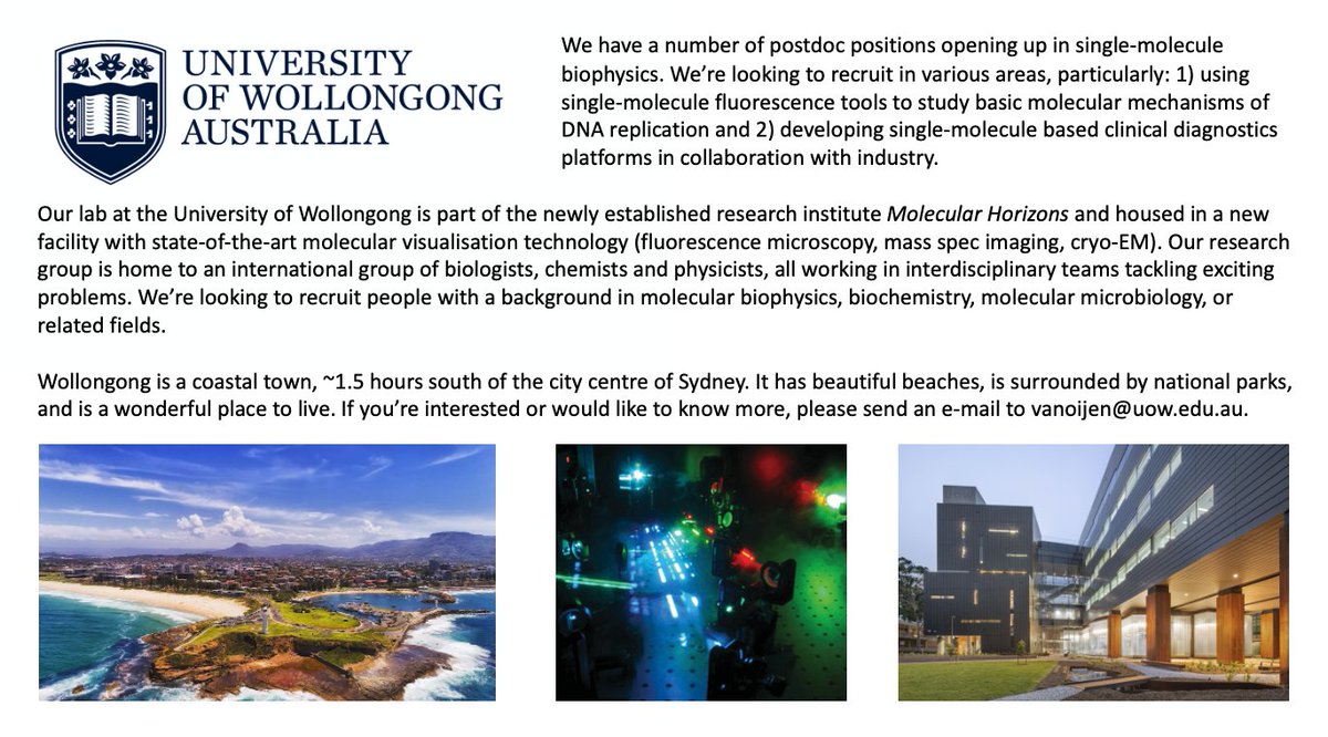 Looking for postdocs! We're about to open several positions for talented people to work in single-molecule biology. Looking for biophysicists, biochemists and molecular biologists 🧬🔬 Interesting problems, fun people and stunning beaches! 🏖️🏄 RT is greatly appreciated 🙏