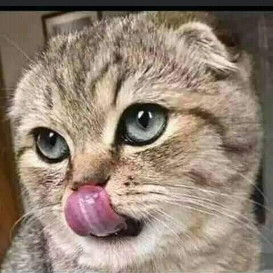 Waiting for abafana base Mgungumdhlovu #Uyajola99 😂😂😂😂😂