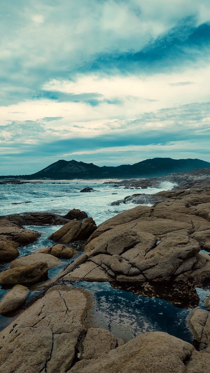 Chegando a fin do verán #louro #montedelouro