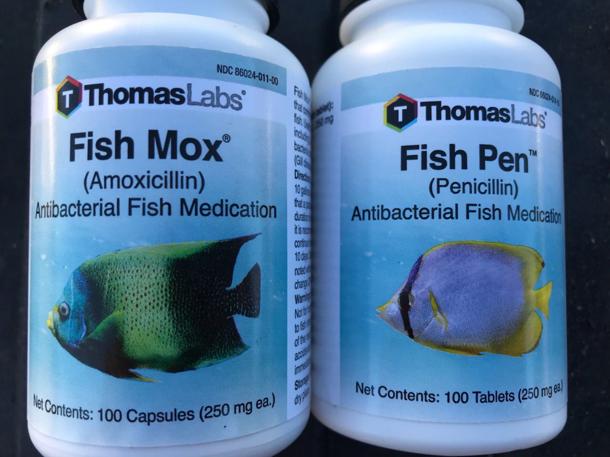 So if we can’t use Ivermectin because it’s for horses then I guess we can’t use these antibiotics either. I wonder why the MSM hasn’t gone after these.