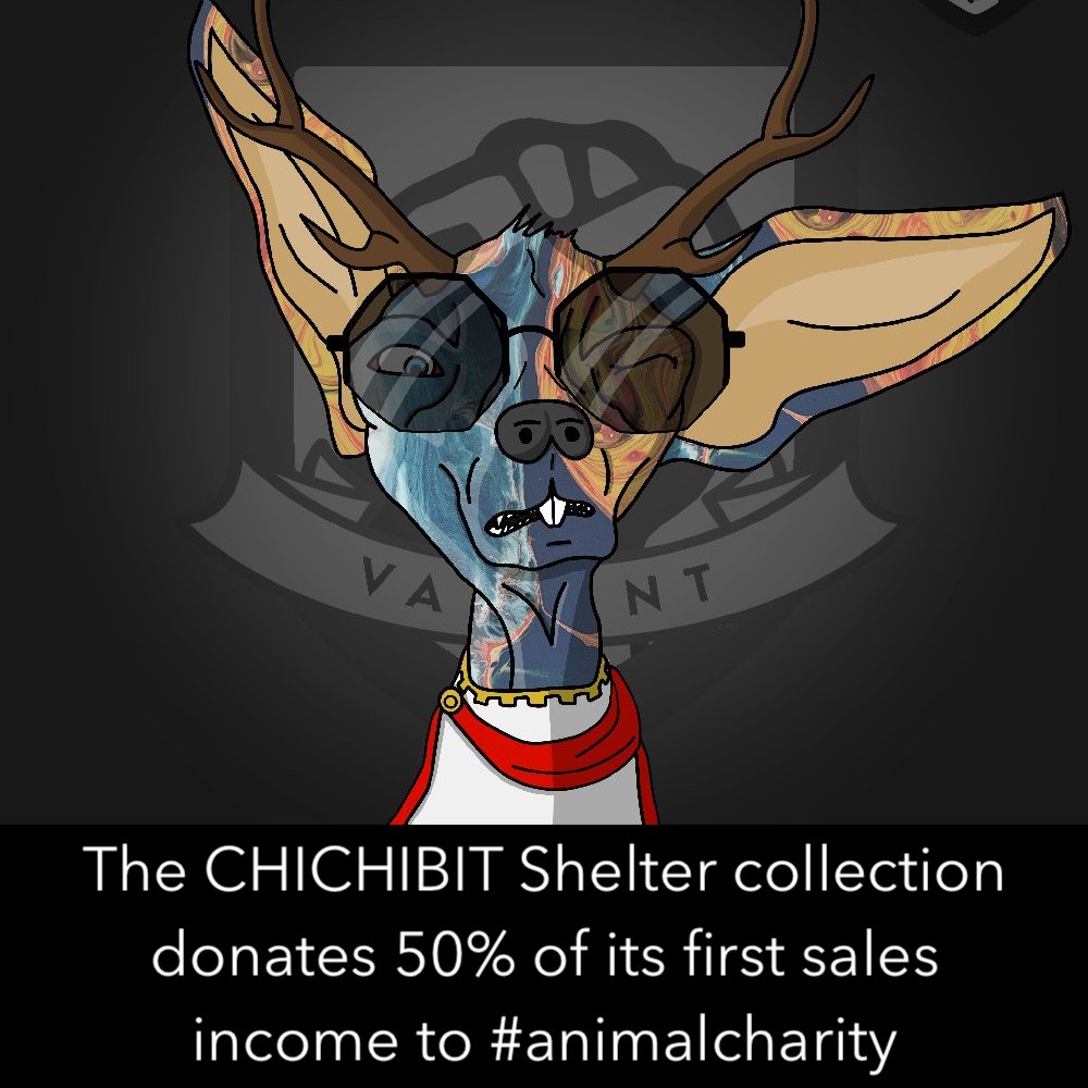 AalexXFL's tweet photo. @valleyTheCat @stickytoffita Animal lovers you should adopt #chichibits and help real animals at the same time !
https://t.co/enKXNnXGXA
Only 0.04 ETH >50% to #animalcharity 🐶💙 https://t.co/sTvppOenaH