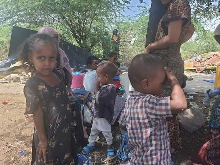 MOusmanova's tweet photo. Wollo ppl besieged by TPLF invading forces are in immediate need of emergency food&amp; medical help. Stand for  the people of Wollo who are in desperate situations.  Amhara&amp; Afar regions are bleeding by #AtrocitiesbyTPLF  #UrgentHelptoWollo
@Reuters @AJEnglish @BBCWorld @nytimes https://t.co/GNivGNtr5V