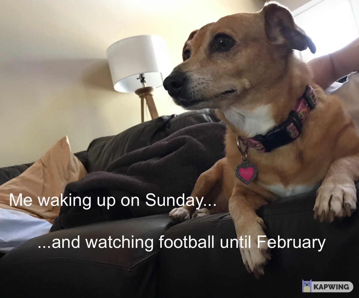 zachddavis_'s tweet photo. Football is back baby! #lazyfootballday #MCO335 https://t.co/Yq7SKfsvSU