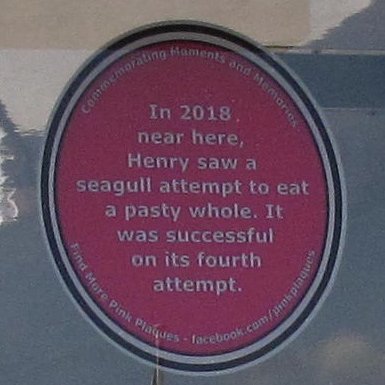It's all happening down at the Barbican 😂 Thanks to Henry for the memory &amp; to Alfresco on the Barbican for hosting this plaque facebook.com/AlfrescoPlymou… - Pink Plaques sponsored by <a href="/mayflower400uk/">Mayflower 400 UK</a> with <a href="/plymouthcc/">Plymouth City Council</a> <a href="/theboxplymouth/">The Box, Plymouth</a> <a href="/PlymCultureUK/">Plymouth Culture</a> with added support <a href="/PlymCityCentre/">Plymouth City Centre Company</a>