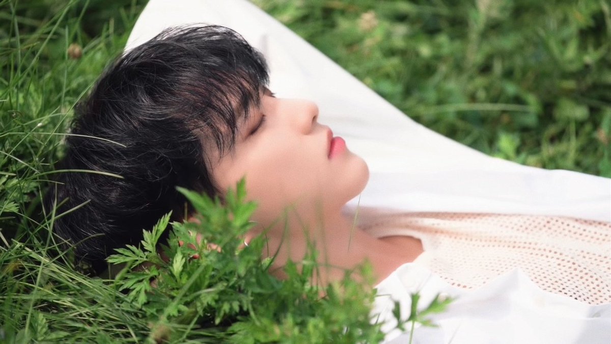 seventeen tweet media