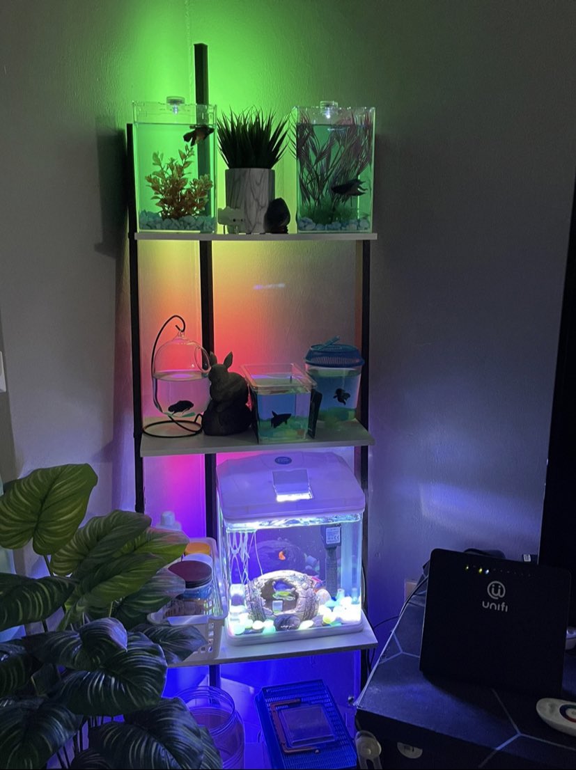 ashalostinhell's tweet image. ada yang suka lampu rgb dekat sini? harini i nak share dua lampu rgb untuk deco bilik atau rumah korang. siap ada remote and bluetooth untuk control.