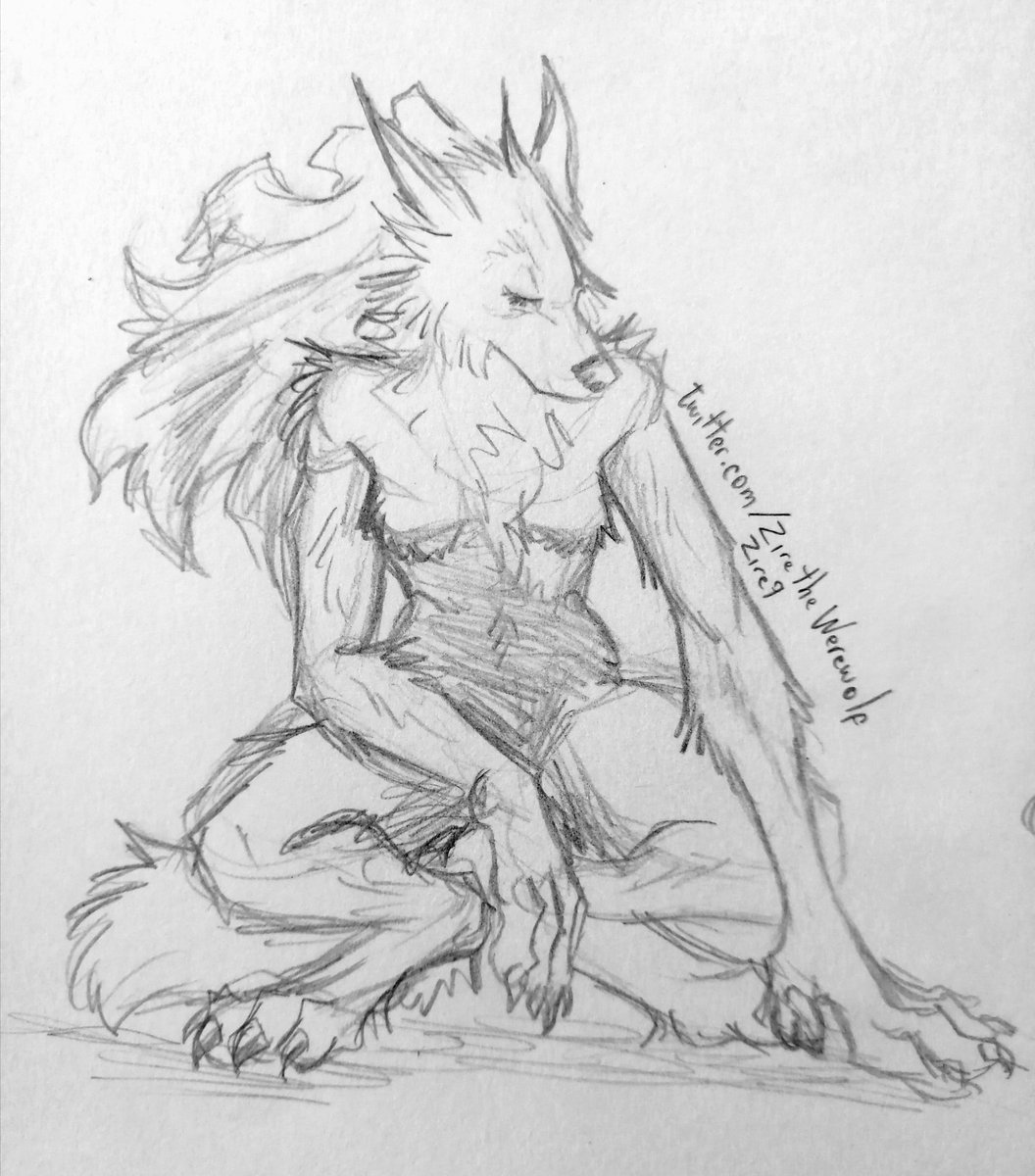 ZireTheWerewolf's tweet photo. For this #shewolfsunday this girl that I drew while listening to "Hurt" by Johnny Cash

#werewolf #lycanthrope #therianthrope #monster #anthroart #monstergirl https://t.co/zrhGJLxqgF