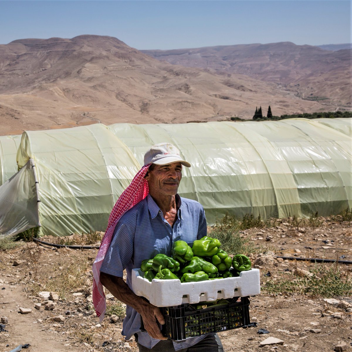 International Fund for Agricultural Development tweet media