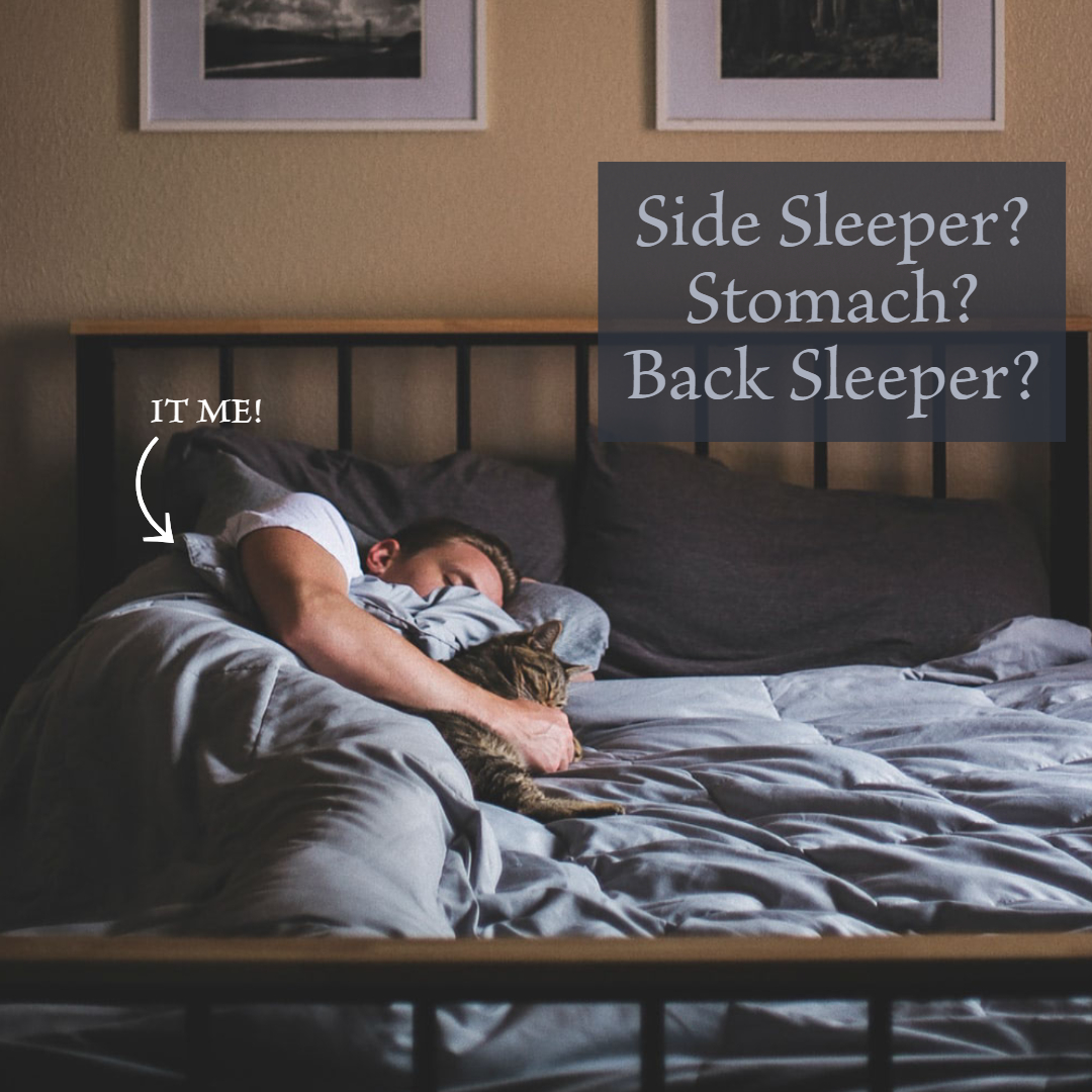 BedPlanet.com tweet media
