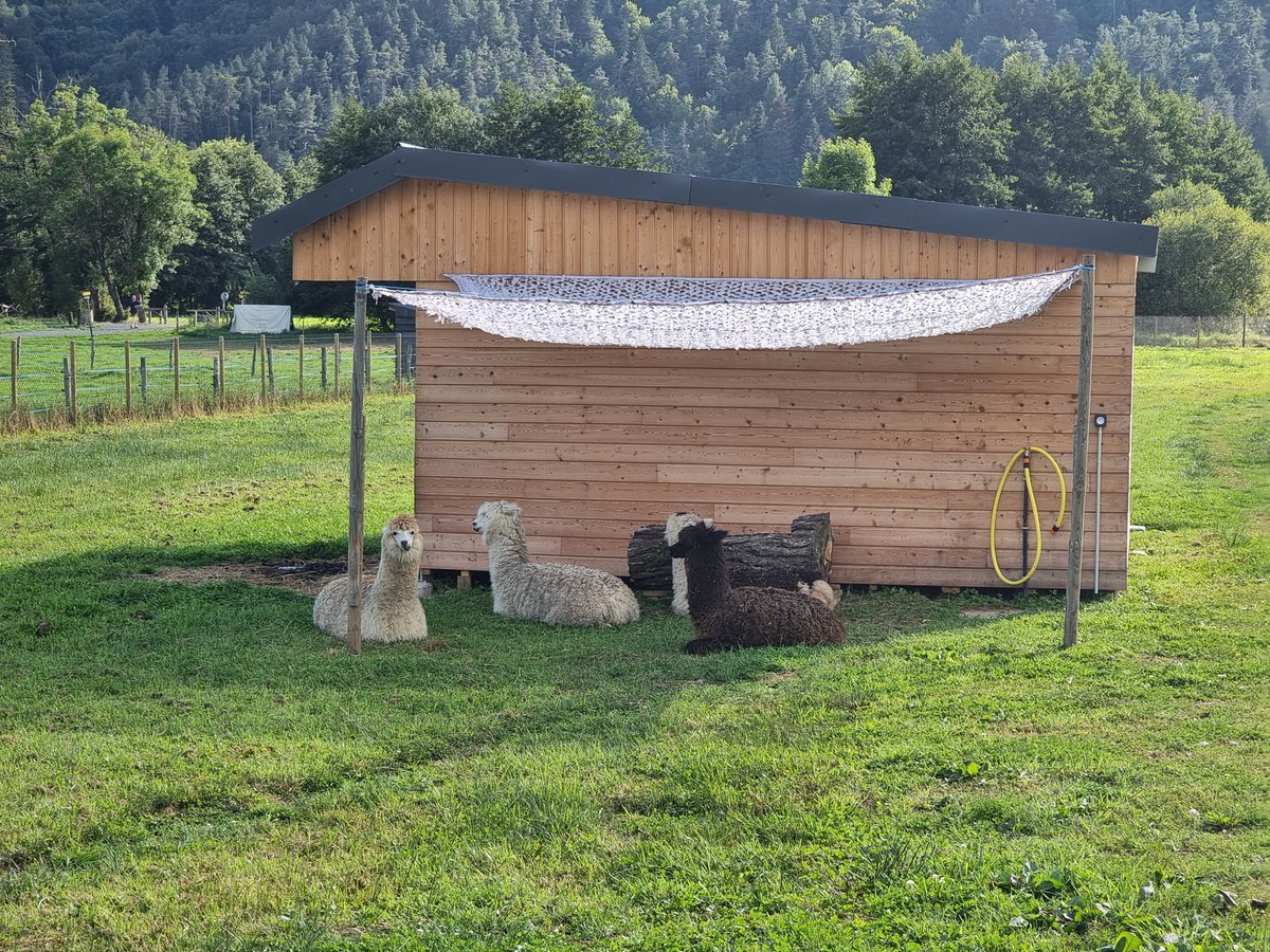 René Cotton tweet media