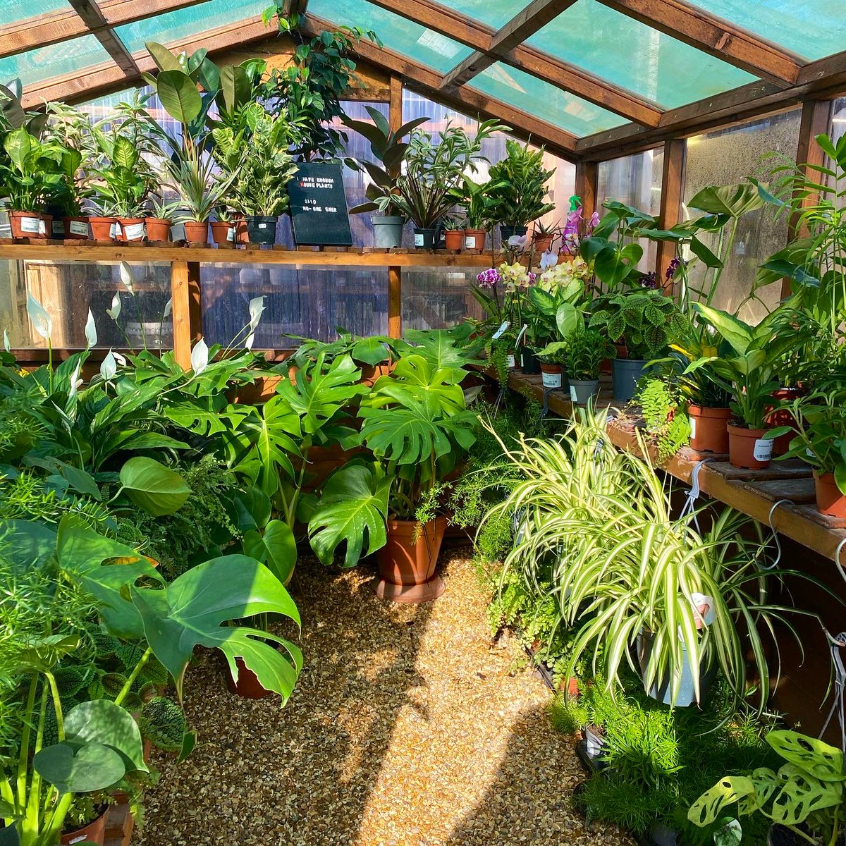 jessbryar_'s tweet image. Today I found heaven