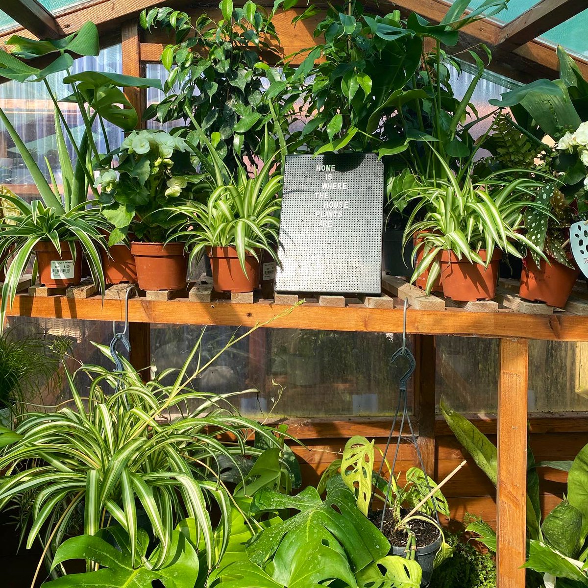 jessbryar_'s tweet image. Today I found heaven