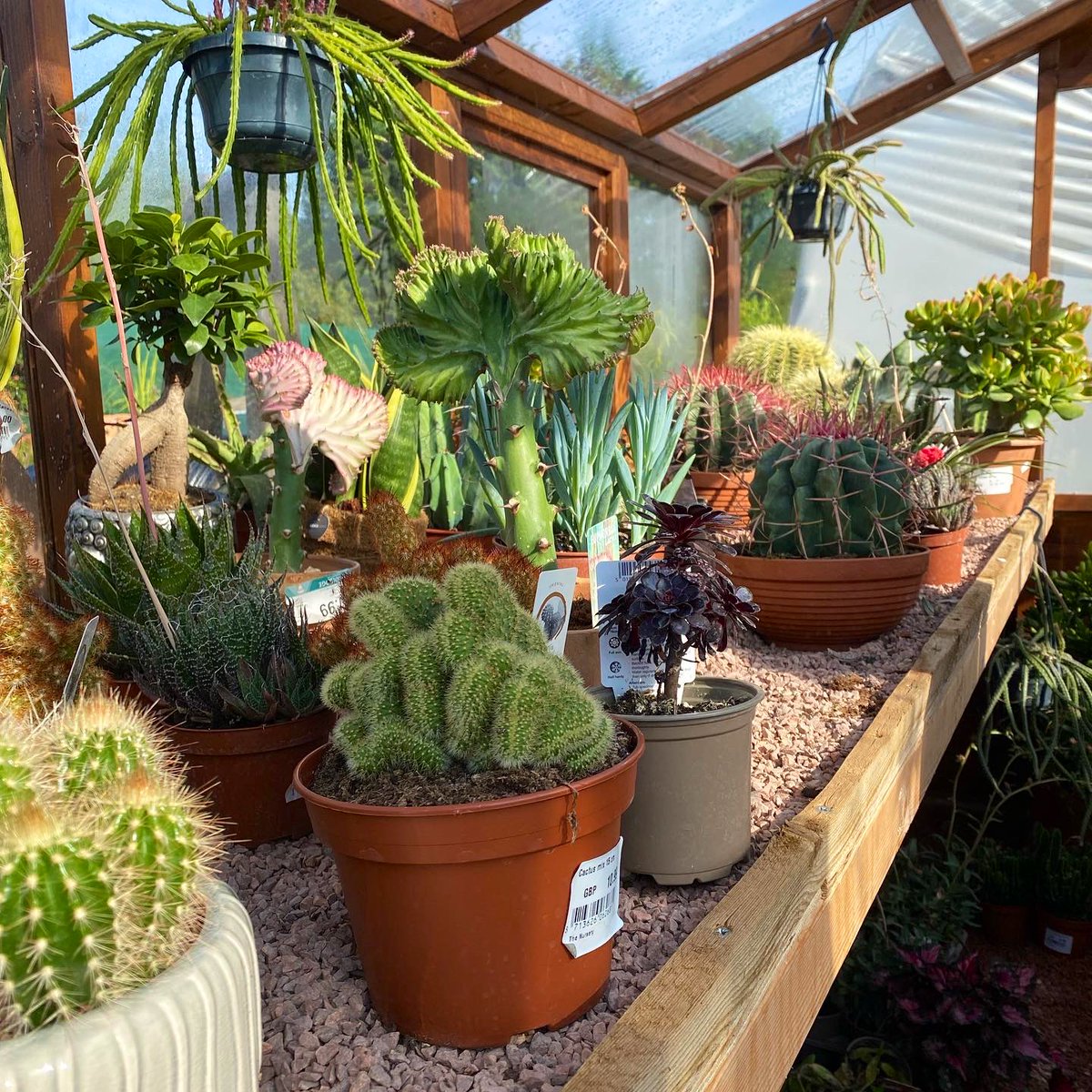 jessbryar_'s tweet image. Today I found heaven