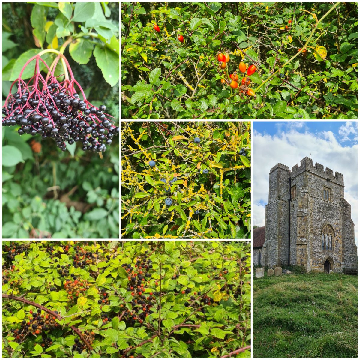 Afternoon jaunt to <a href="/HamseySt/">St Peters Church - Hamsey</a>