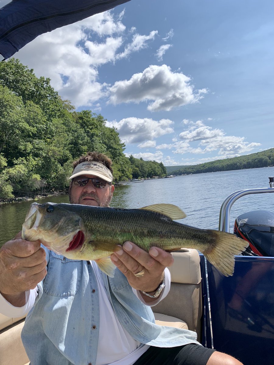 WallyBites's tweet image. Another large, working the senkos (green).  #largemouth #bass #pafish