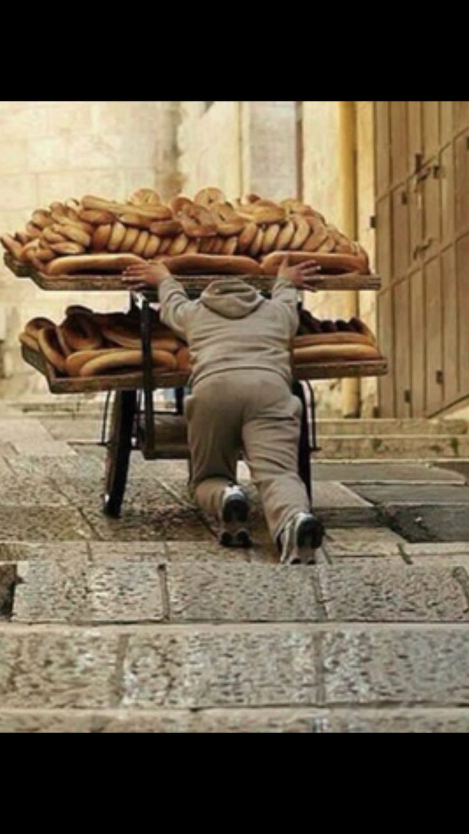 hani_skafi24 tweet media