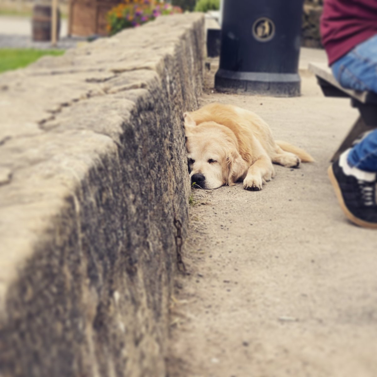 🍺🎶What a weekend…think this picture sums up how the volunteers are feeling 😴 Big thank you to everyone that made it possible a hell of a lot of work but worth every minute! 🍺🎶 #yarnburyarmy #oneclub #beerfestival