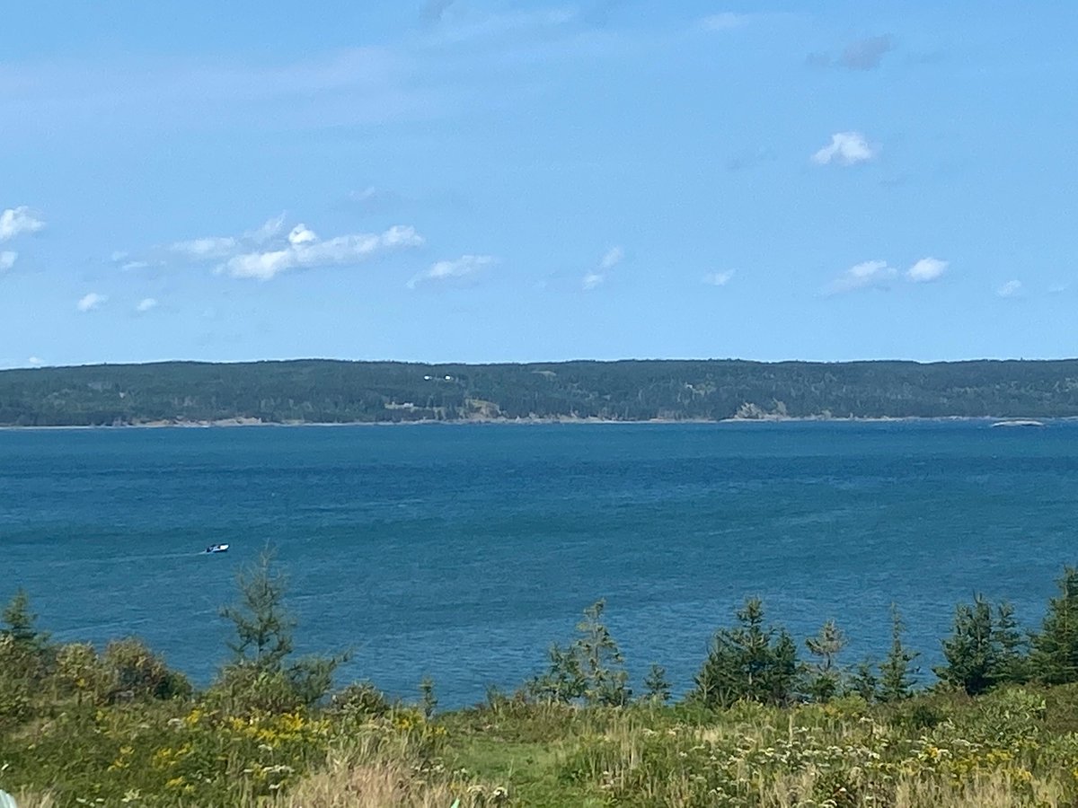 BethGorham's tweet photo. Oh so blue. #Gabarus #CapeBreton https://t.co/UeetUpaZiP