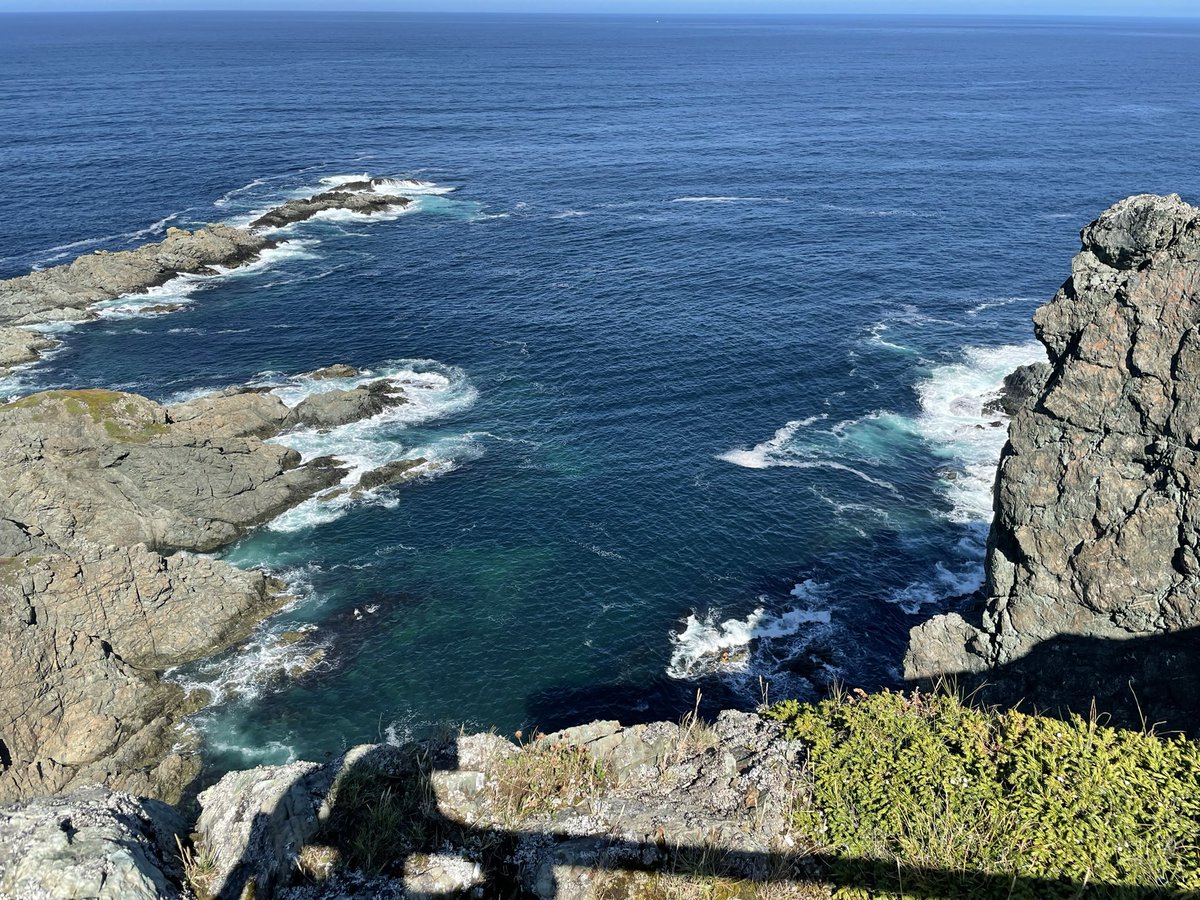 skidugrl's tweet photo. What a beautiful place. #twillingate #newfoundland #therock #ExploreCanada https://t.co/ioXilc8KsU