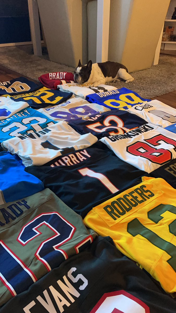 Endlich geht es wieder los 😍🏈 na ja fast alle sind begeistert 😂 @rannfl_suechtig <a href="/ransport/">ran</a> <a href="/Icke41/">Icke Dommisch</a> <a href="/patsdeutsch/">Patriots Deutschland</a> <a href="/EsumePatrick/">Patrick Esume</a> <a href="/Patriots/">New England Patriots</a> <a href="/BjoernWerner/">Björn Werner</a> <a href="/TheDreamKasim/">Kasim Edebali</a> #ranNFLsuechtig <a href="/stecker_jan/">Jan Stecker</a> #gopats #FrenchBulldog <a href="/NFLDeutschland/">NFL Deutschland</a>