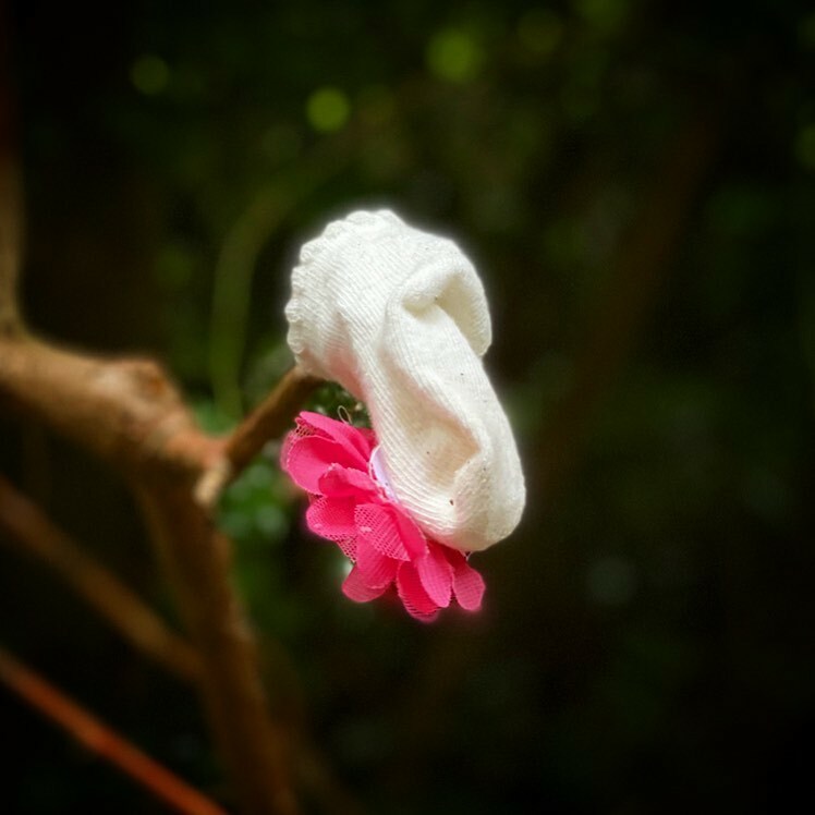 brendandonlon's tweet image. #LostSock instagr.am/p/CTupFbWMhLA/