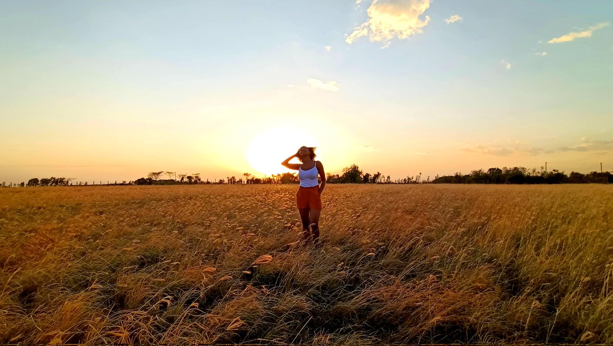 __Tea__Spoon_'s tweet photo. Sunsets × Open Fields https://t.co/Th6IGgC7nO