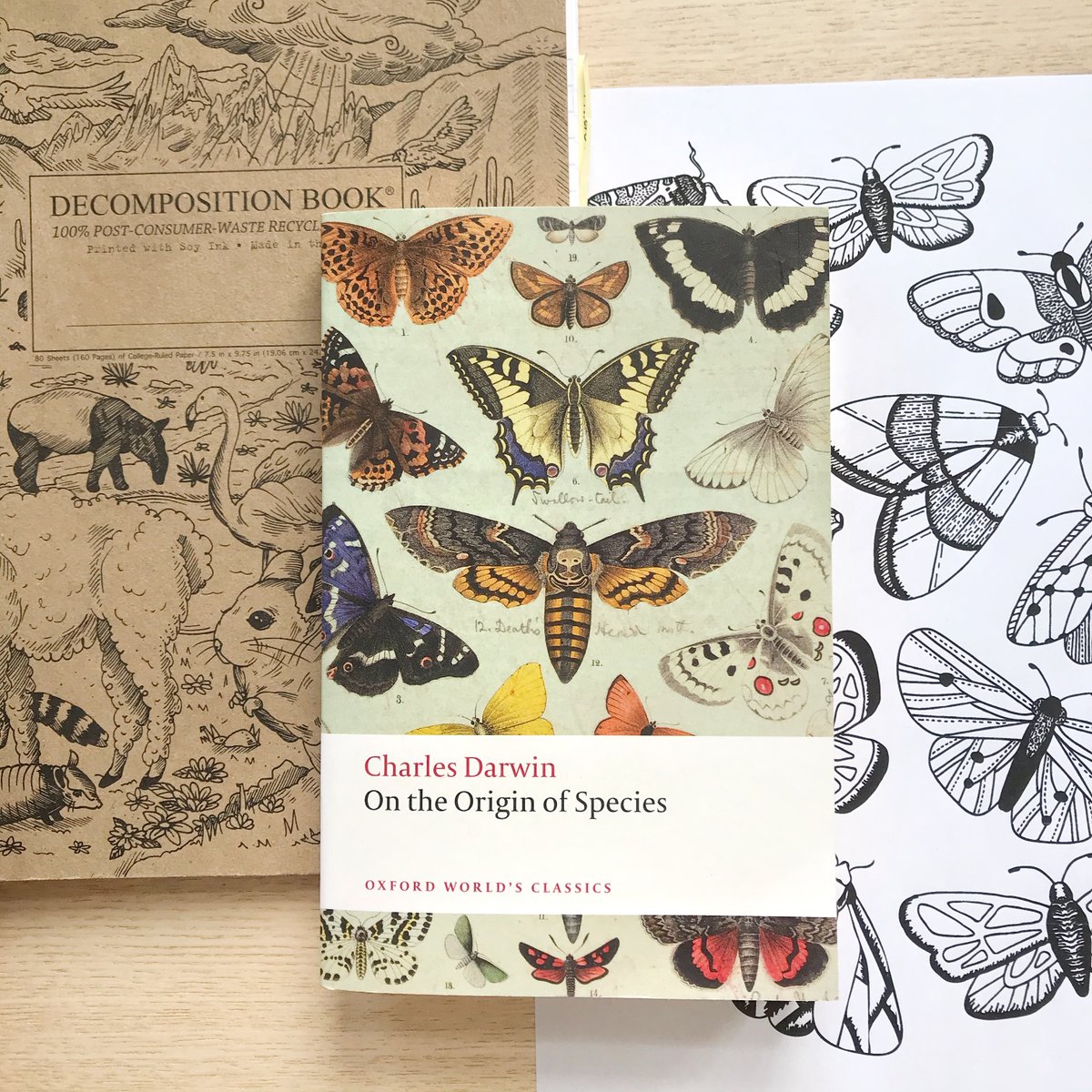 EvolutionaryMDW's tweet photo. ✨MINI REVIEW✨on the blog! 
"On The Origin of Species," by Charles Darwin 
https://t.co/n1OMceMgCV https://t.co/cQEfnf6O3A