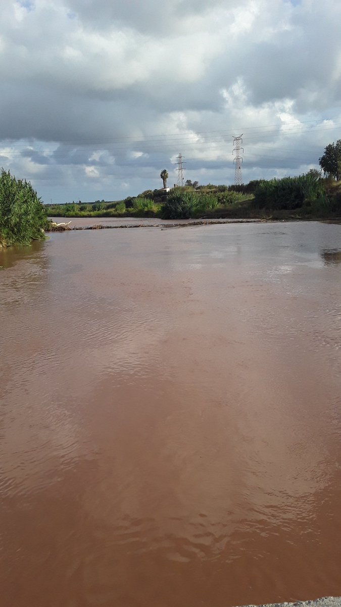 Inefablelopez's tweet photo. Ahí baja el Llobregat, vacilón como siempre, como si en la siguiente orilla fuera a pedirte un cigarro de camino a los autos de choque. https://t.co/jFpQLoAdW4