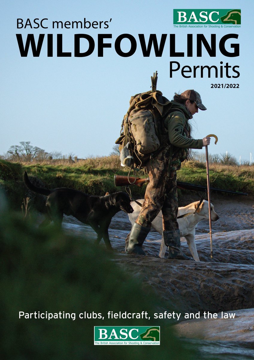 BASCNI's tweet photo. WILDFOWLING PERMIT SCHEME

BASC's wildfowling scheme provides shooting opportunities for members wishing to experience wildfowling in different parts of the country or even for the first time.

Download our booklet to get started!
https://t.co/XdQNhkuE4J https://t.co/pjtzOQjKA7