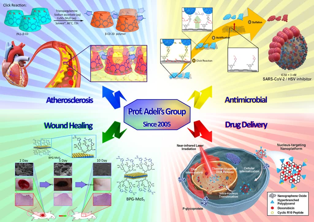 adeli_group's tweet photo. Our multidisciplinary research spans in new polymeric architectures and their biomedical applications including chemo- and photothermal therapies, pathogen interactions, diabetic wound healing, and atherosclerosis treatment https://t.co/XM9VZxdEN3