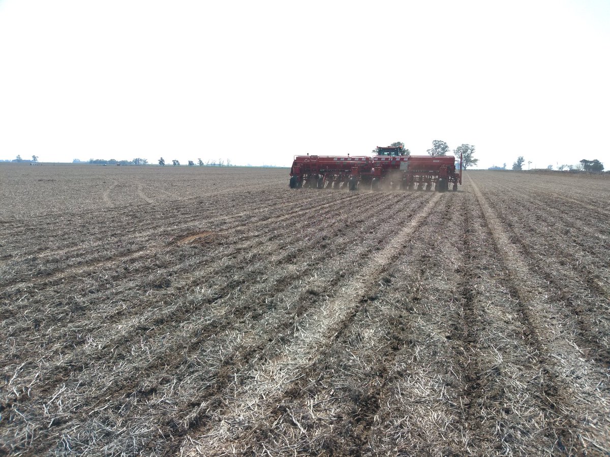 andreshadoc's tweet photo. #Variando densidad en maíz. Prescripción @gis_ursula.
Monitor @Trimble_Ag.
Híbrido DK7270 @Bayer4Crops
Sembradora @crucianelliok
Equipo Don Adelqui Agropecuaria.
#SStaFe #Asesoramiento https://t.co/mvqUftjYvq