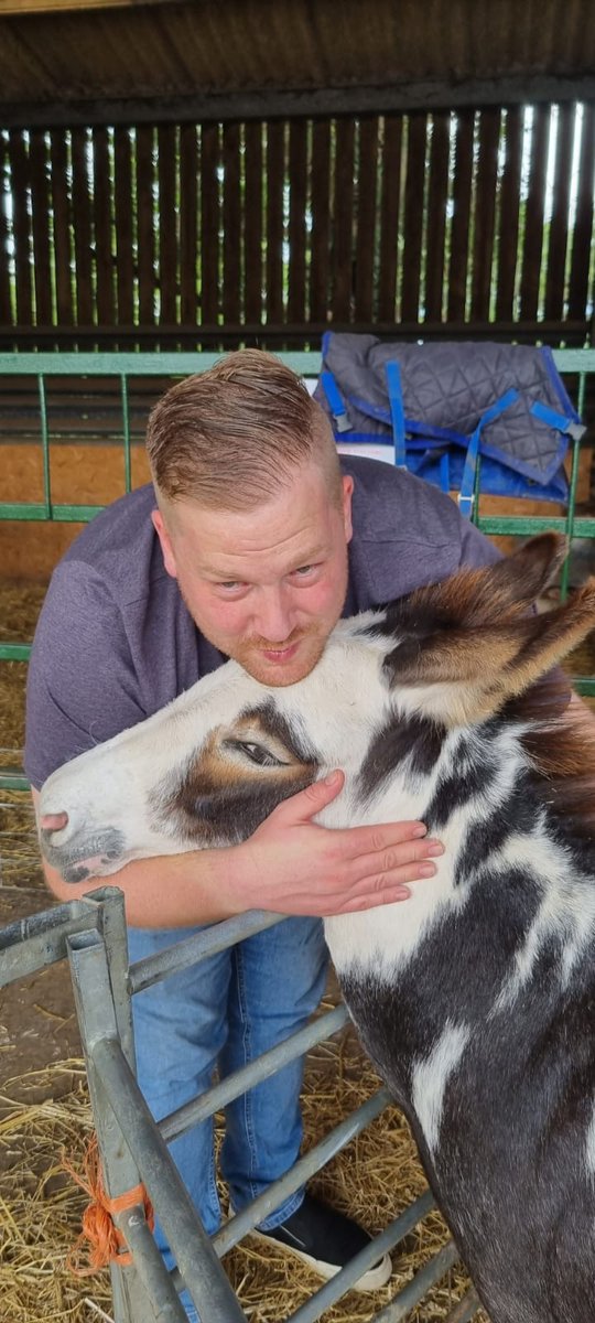 Matt The Innkeeper tweet media