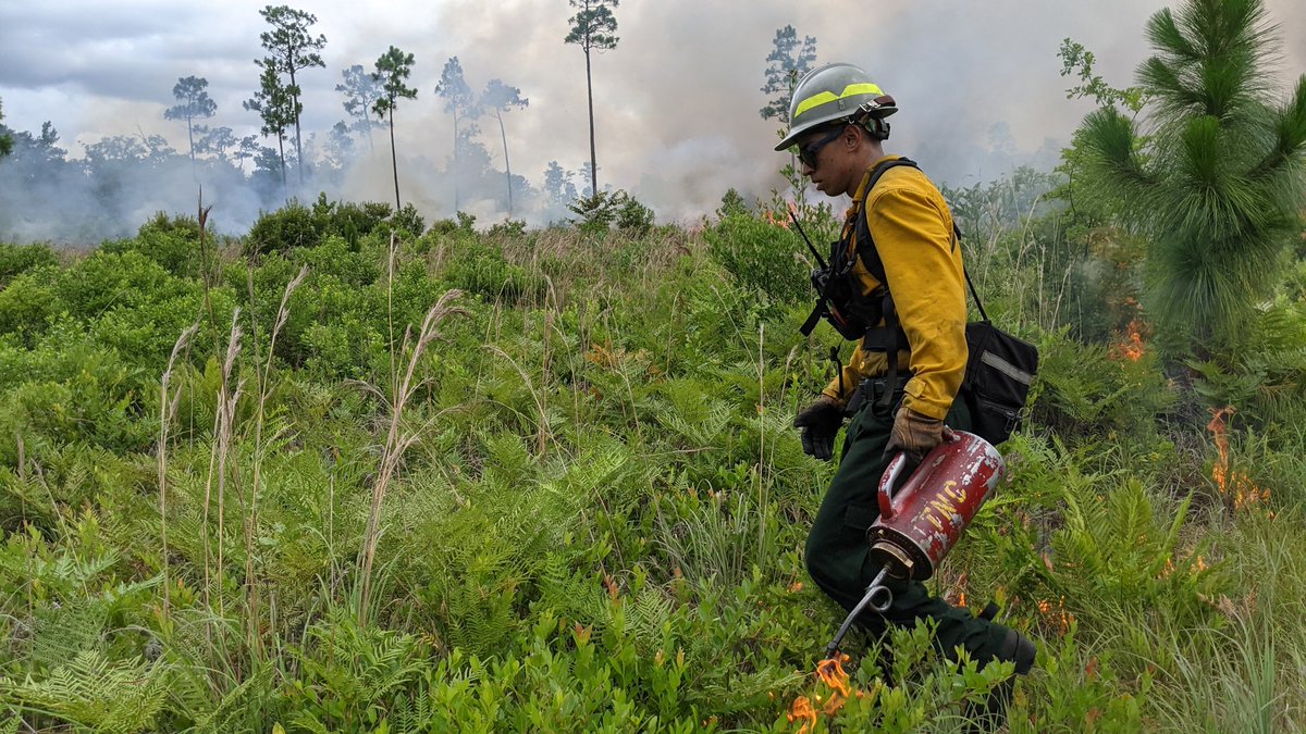 adam_warwick's tweet photo. Great winter burning, housing provided in most cases, overtime, etc. Would you like to work on your FFT1/ICT5, #FIRB, #ENGB, FEMO, RXB #taskbooks?
@NC_TNC @naturesc @nature_TN, and many more TNC Burn crew jobs can be found @nature_careers. https://t.co/tKWjOQOERV