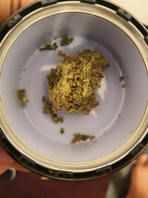 Orange krush Hella tasty https://t.co/cE74SKQzVk<a href="/tag/newprofilepic"class="tags"><span>#newprofilepic</span></a>