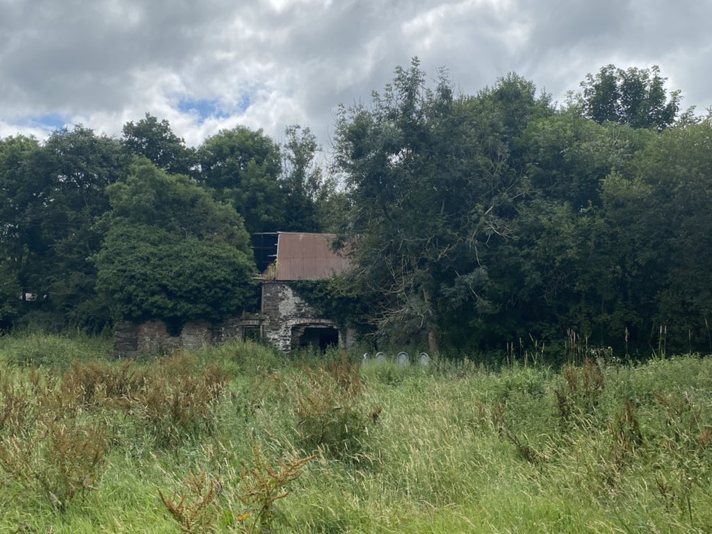 disneygal86's tweet photo. What’s left of my dads home ❤️ https://t.co/GrTLEckj6T