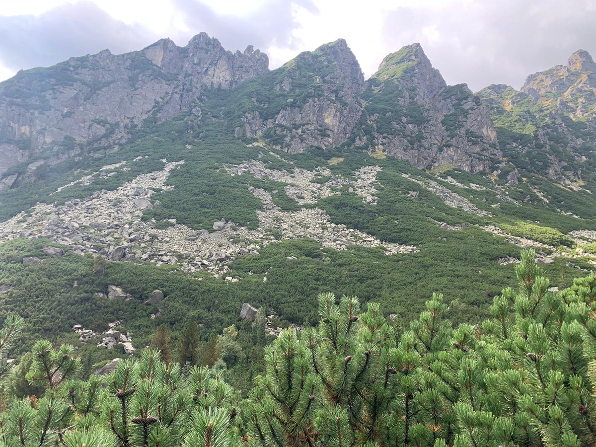 Chloë Allen-Ede tweet media