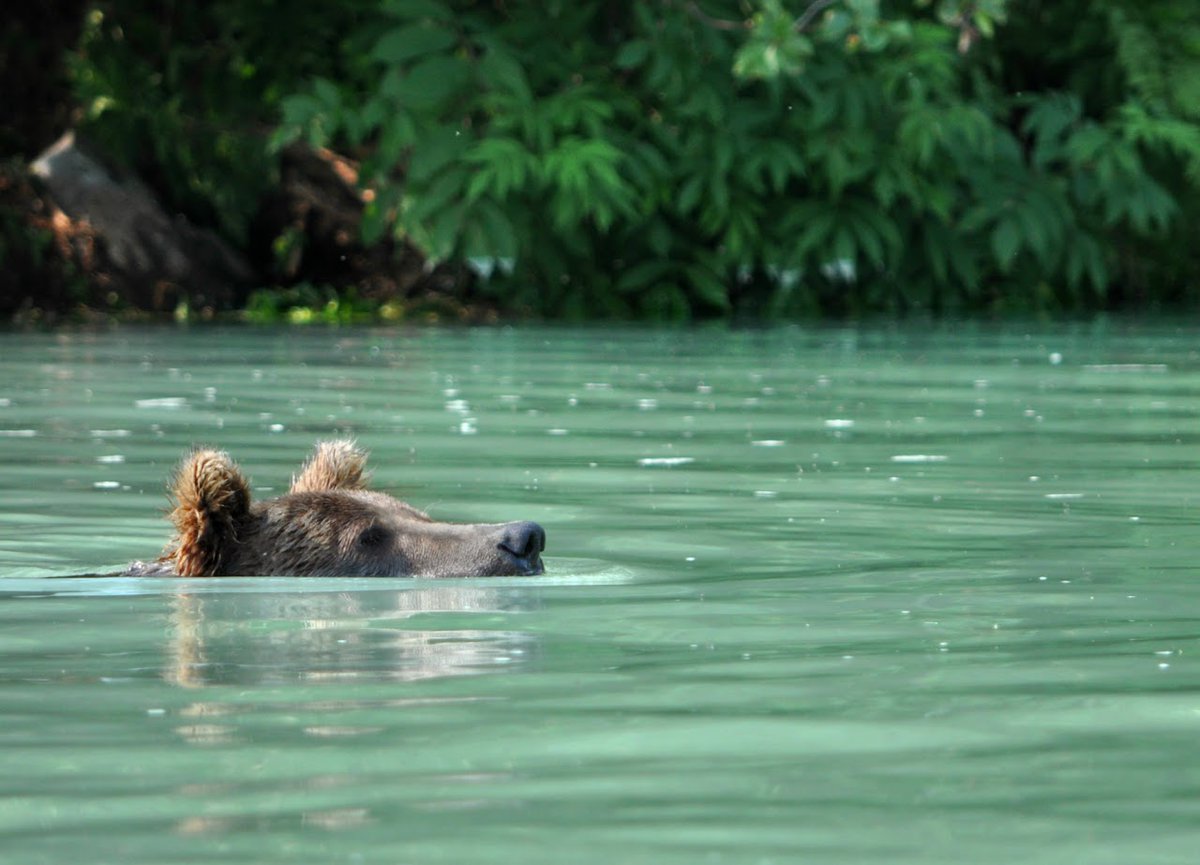 Desicherie's tweet image. Share some of your favorites! 📸☺️