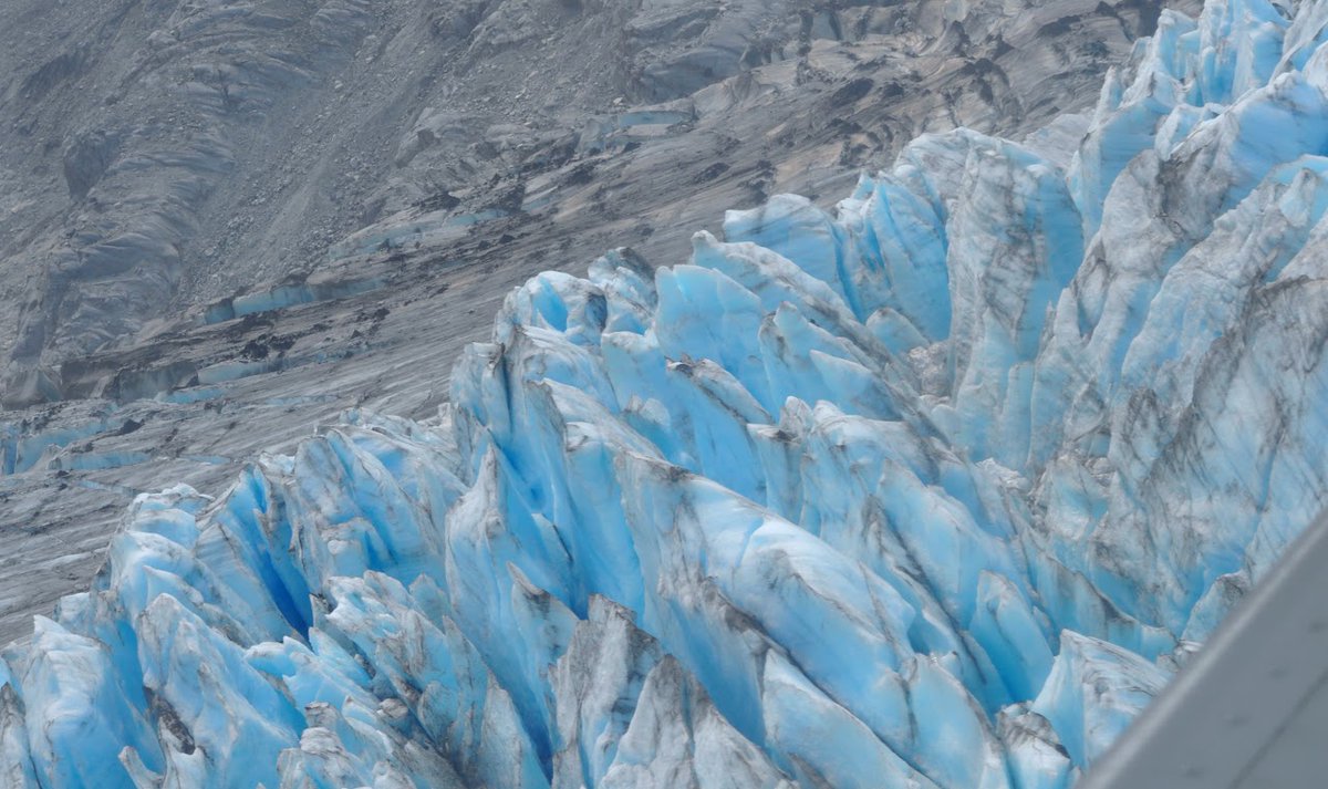 Desicherie's tweet image. Share some of your favorites! 📸☺️