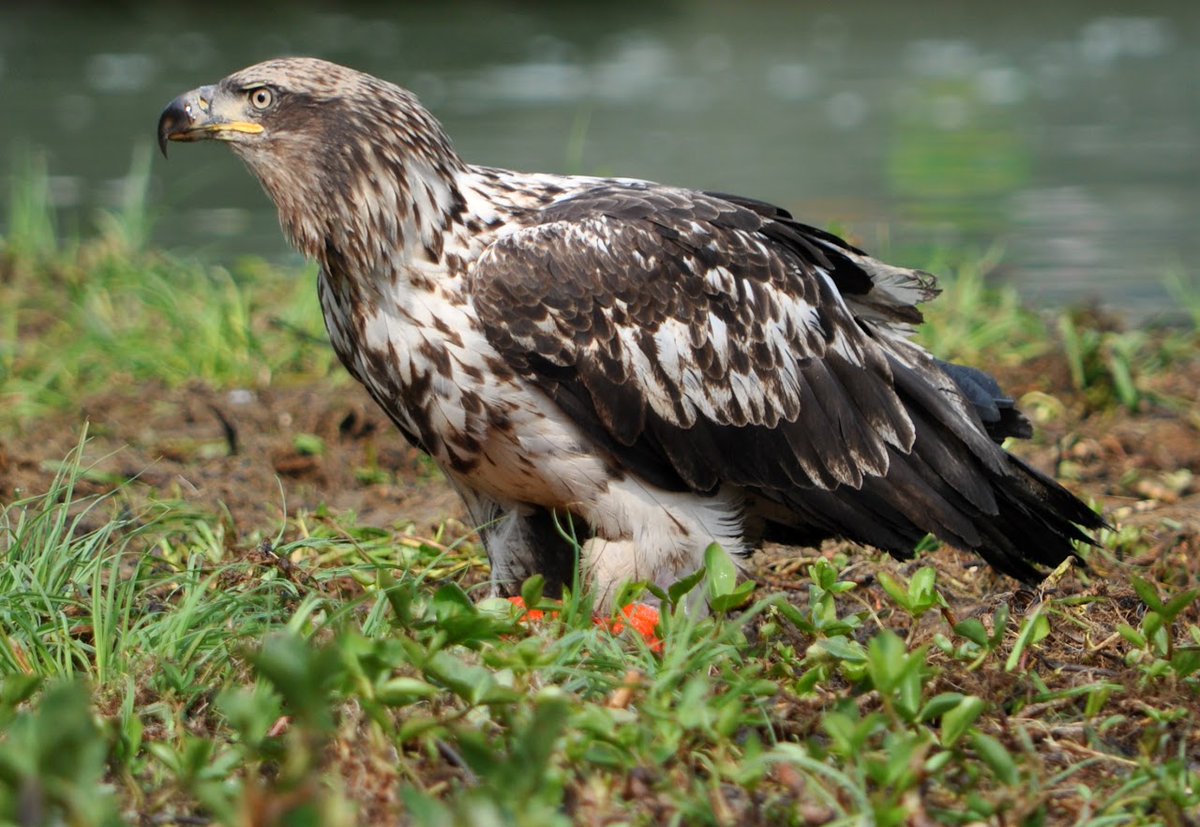 Desicherie's tweet image. Share some of your favorites! 📸☺️