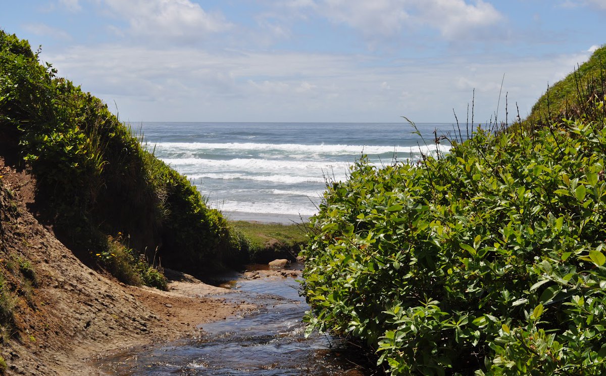 Desicherie's tweet image. Share some of your favorites! 📸☺️