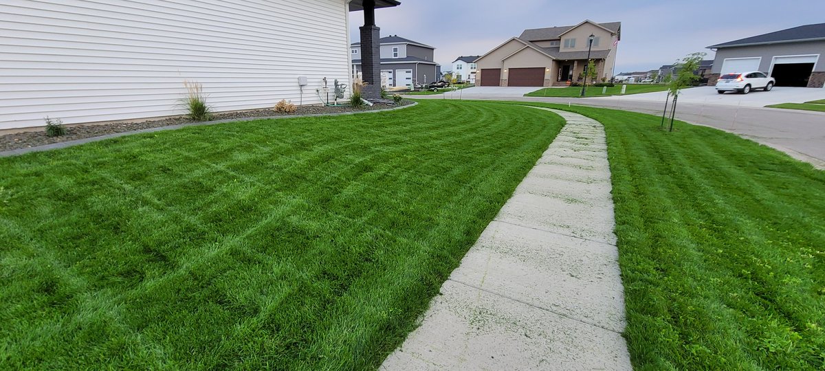 Allyn Hane tweet media