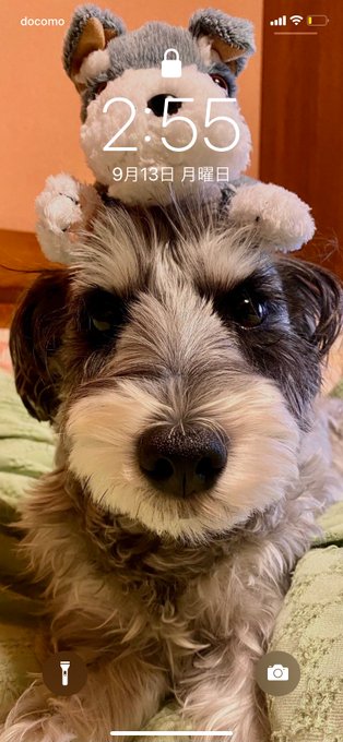 62.とことん落ちる
63.サンドのDVD見て笑う
64.パチ繋がり以外なら2人
65.画像1枚目
66.画像2枚目
67.画像3枚目
68.画像4枚目 